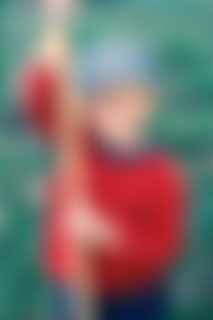 Blurred preview image for donor ORLANDO